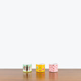 Canvas Ceramic Planter - House Plants Delivery Toronto - JOMO Studio