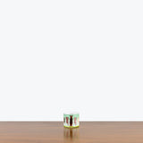 Canvas Ceramic Planter - House Plants Delivery Toronto - JOMO Studio