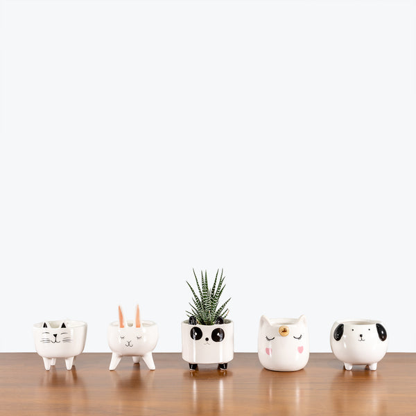 Ceramic Animal Planter - House Plants Delivery Toronto - JOMO Studio