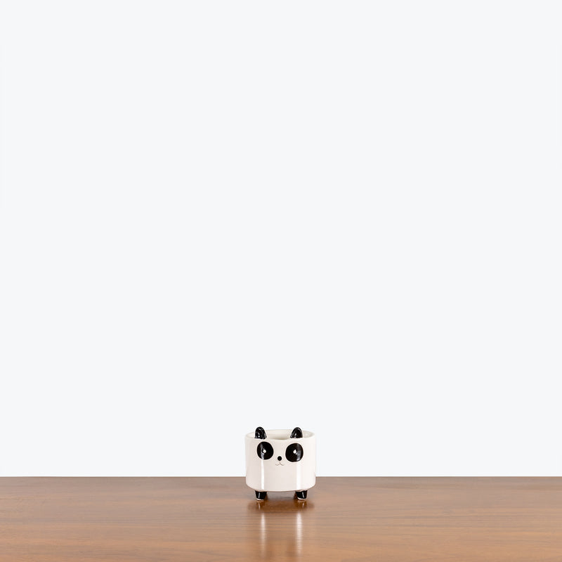 Panda - Ceramic Animal Planter - House Plants Delivery Toronto - JOMO Studio
