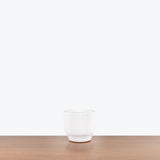 White Concrete Planter - House Plants Delivery Toronto - JOMO Studio