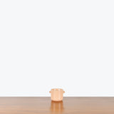 Coral Ceramic Planter - House Plants Delivery Toronto - JOMO Studio