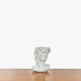 David Planter — Small - Fit 4" Pot