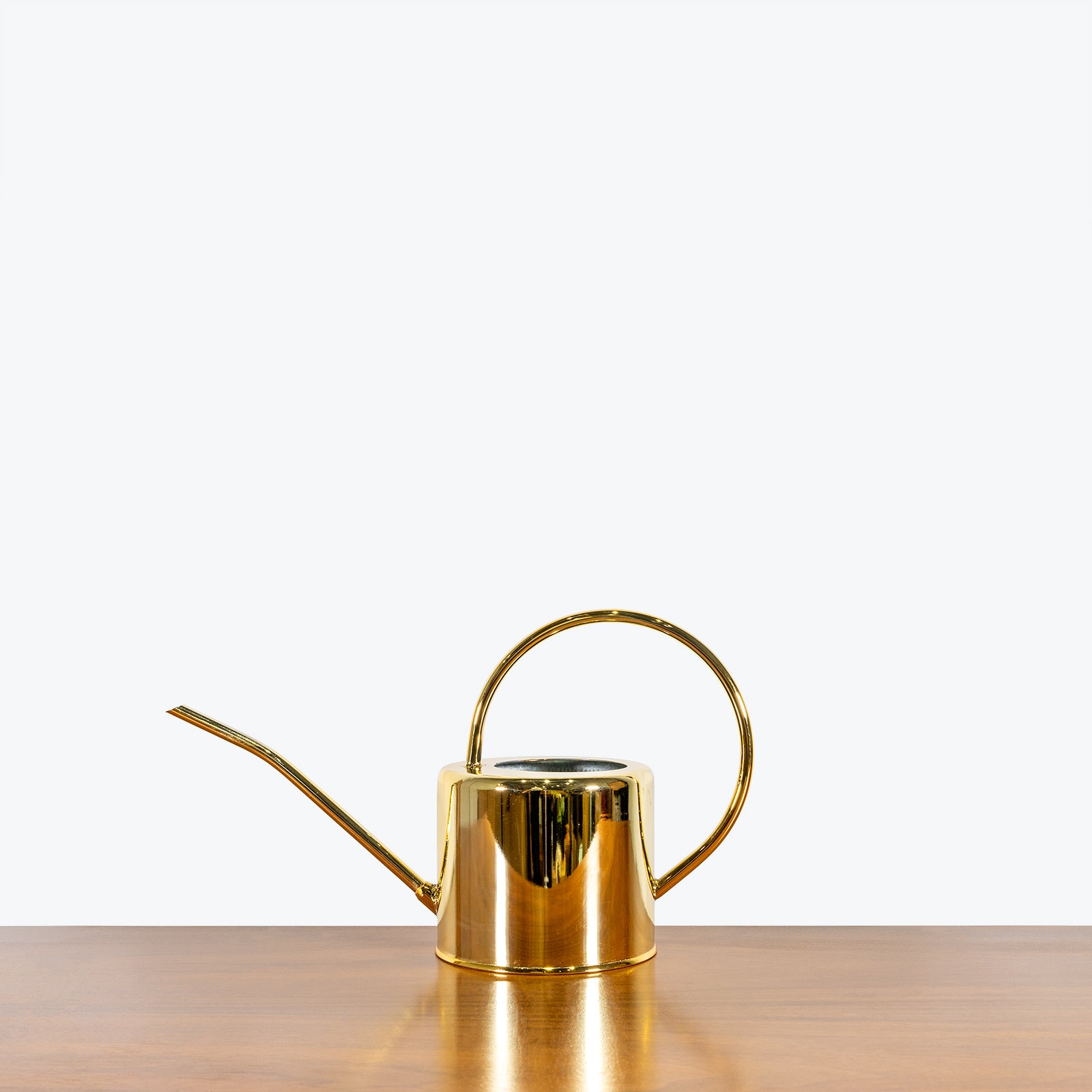 Gold Watering Can