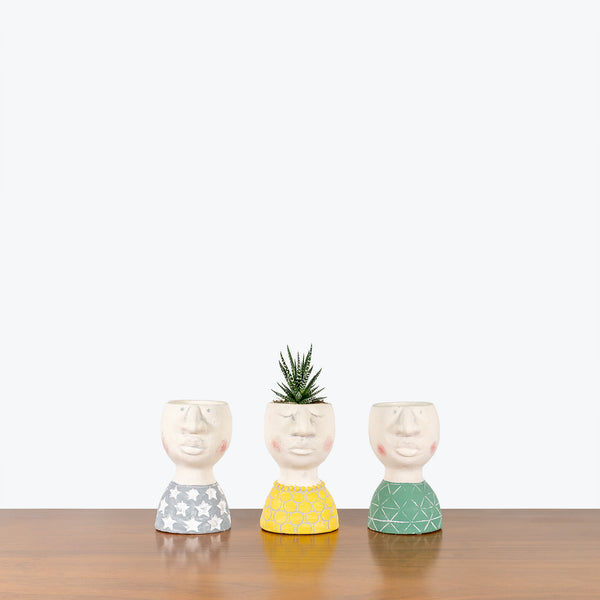 Good Pals Planter - House Plants Delivery Toronto - JOMO Studio