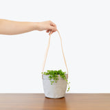 Eco-Friendly Washable Paper Hanging Basket Planter - JOMO Studio