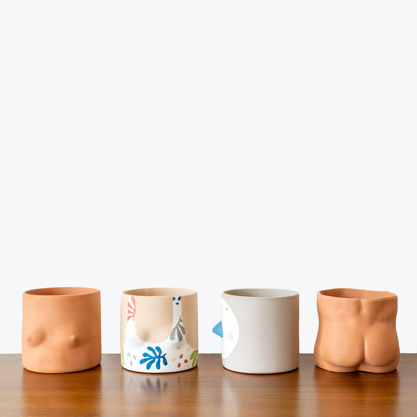 Group Partner Planter - House Plants Delivery Toronto - JOMO Studio