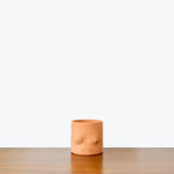 Group Partner Planter — Terracotta Top / Small - Fit 4" Pot