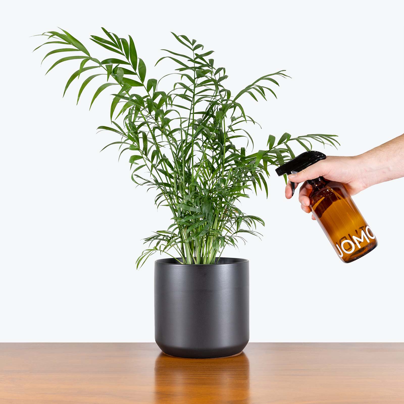 JOMO Spray Bottle - House Plants Delivery Toronto - JOMO Studio