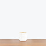 Patterned Circular Planter — Small - Fit 3"-4" Pot