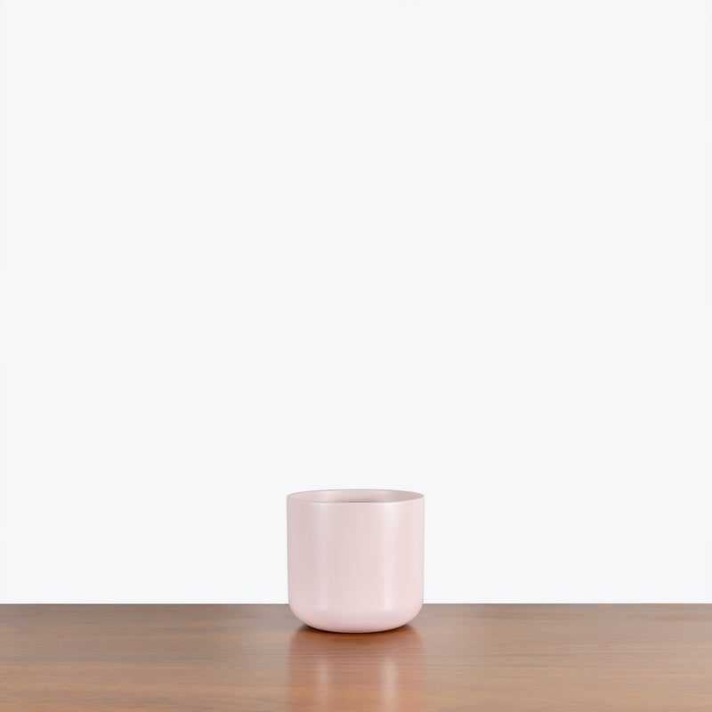 Pink Ceramic Planter - House Plants Delivery Toronto - JOMO Studio