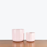 Pink Ceramic Planter - House Plants Delivery Toronto - JOMO Studio