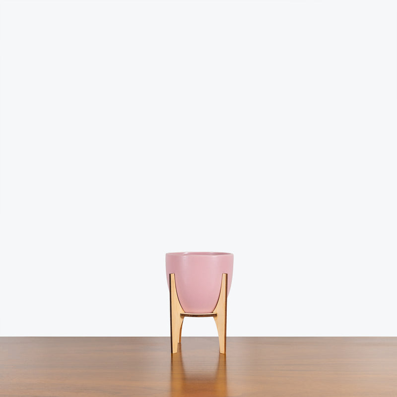 Pink Planter with Stand - House Plants Delivery Toronto - JOMO Studio