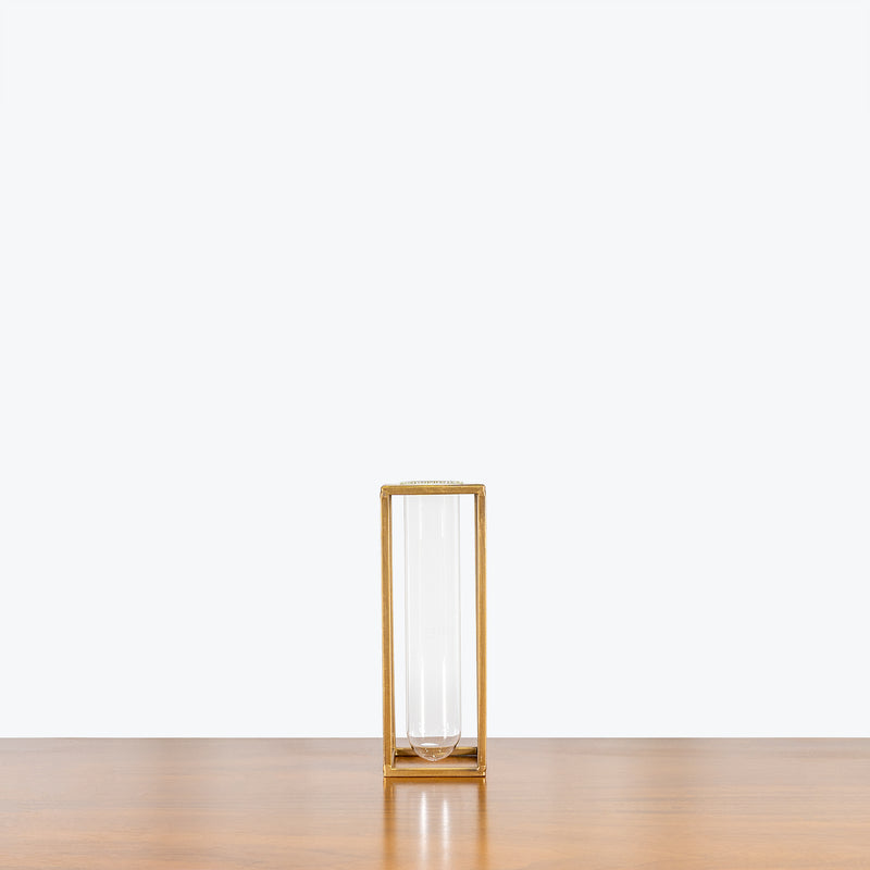 Sprout Propagation Station - House Plants Delivery Toronto - JOMO Studio