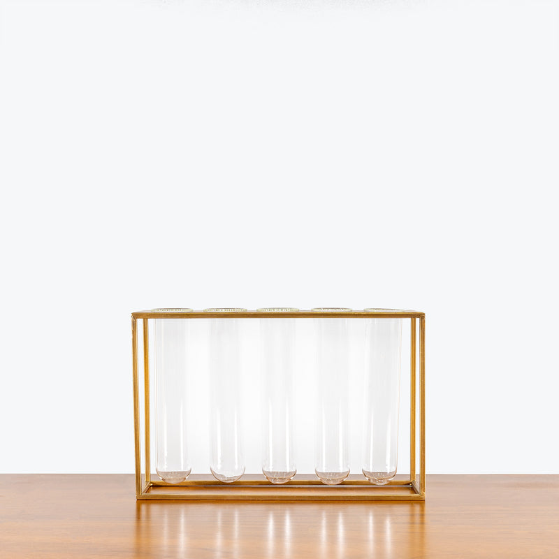 Sprout Propagation Station - House Plants Delivery Toronto - JOMO Studio