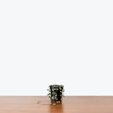 String of Hearts - House Plants Delivery Toronto - JOMO Studio
