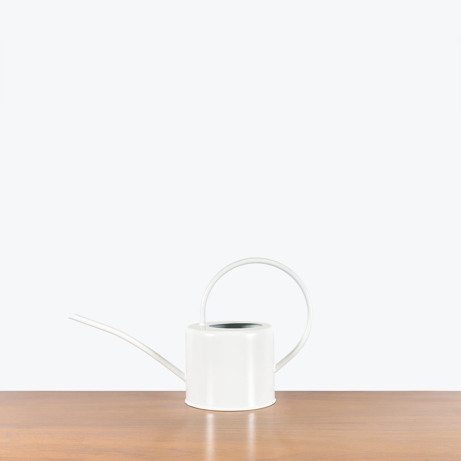 White Watering Can - House Plants Delivery Toronto - JOMO Studio